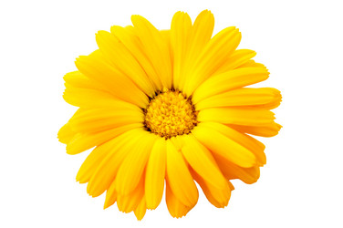 Similar image 11487315