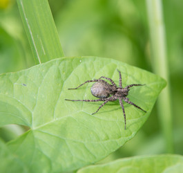 Similar image 11487341