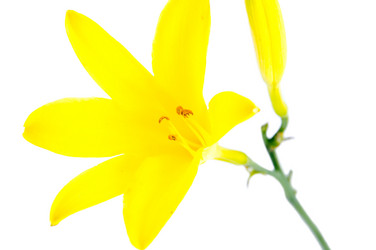 Similar image 11487342