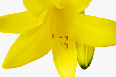 Similar image 11487343