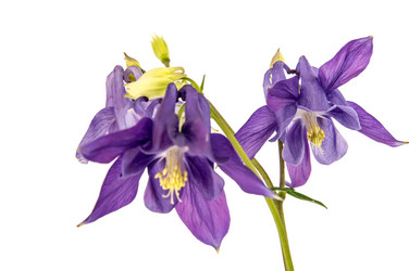 Similar image 11487344