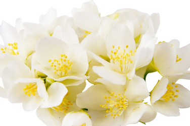 Similar image 11487345