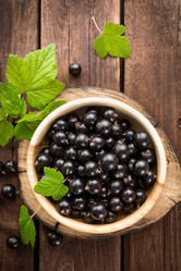 Similar image 11487302