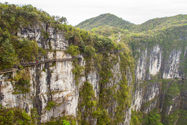 Similar image 11487003