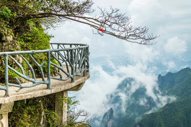 Similar image 11487042