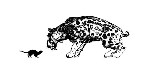 Similar image 11489519