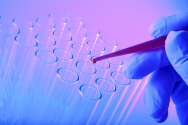 Similar image 11493663