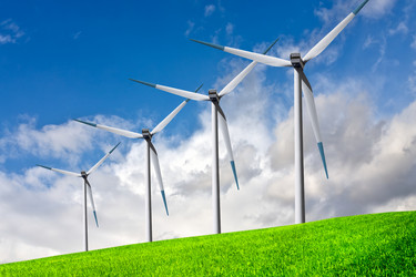 Similar image 11493832