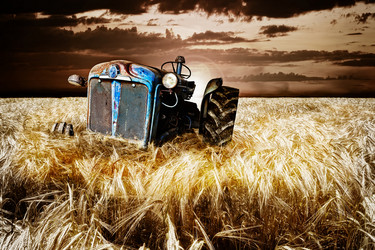 Similar image 11493660