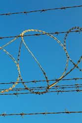 Similar image 11487760