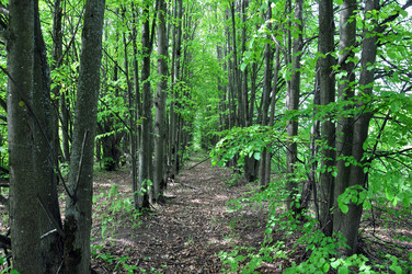 Similar image 11487089