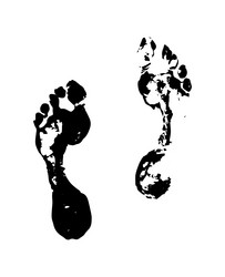 Similar image 11495502