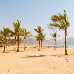 Similar image 11487747