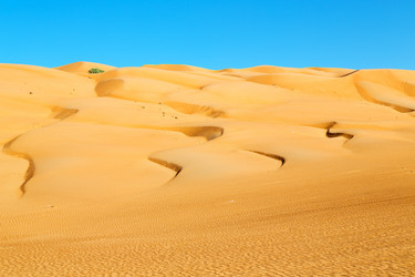 Similar image 11487778