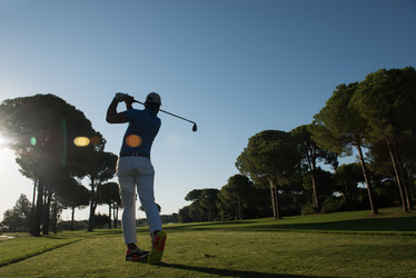 Similar image 11487152