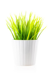 Similar image 11496935