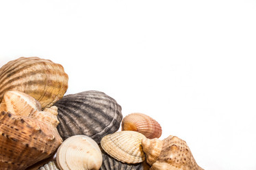 Similar image 11486837