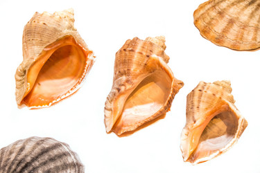 Similar image 11486838