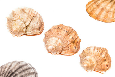 Similar image 11486839