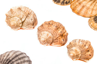 Similar image 11486869