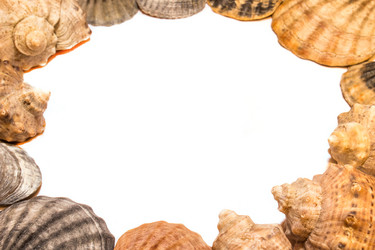 Similar image 11486872