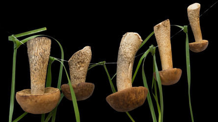 Similar image 11486896