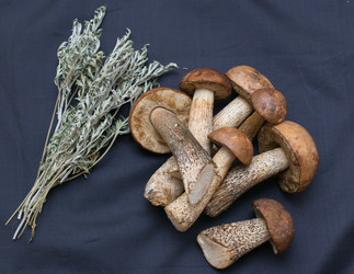 Similar image 11486897