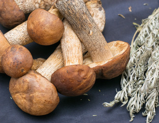 Similar image 11486898