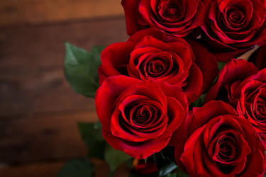 Similar image 11489099