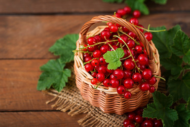 Similar image 11489129