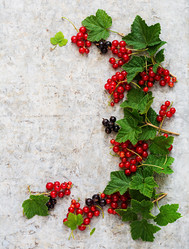 Similar image 11489134