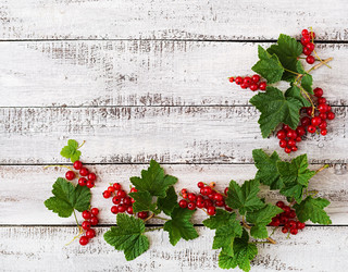 Similar image 11489135