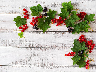 Similar image 11489137