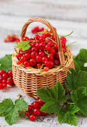 Similar image 11489138