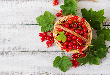 Similar image 11489184