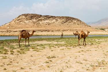 Similar image 11487811