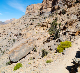 Similar image 11487715