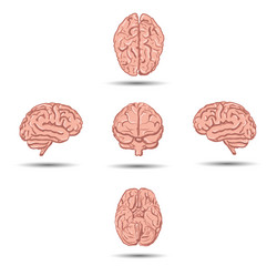 Similar image 11496510