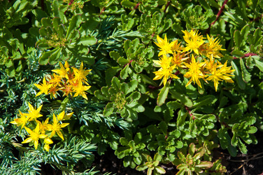 Similar image 11486494