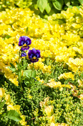 Similar image 11486431