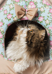 Similar image 11486593