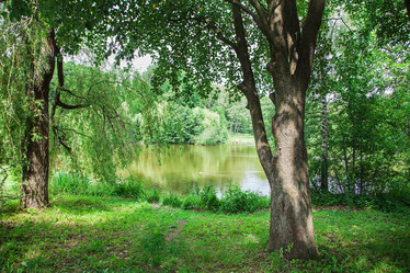 Similar image 11486689