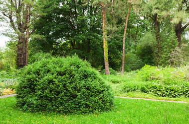 Similar image 11486691