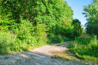 Similar image 11486692