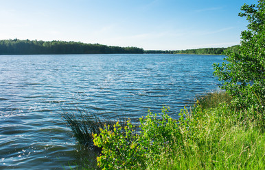 Similar image 11486693