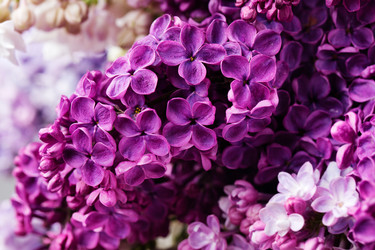 Similar image 11489893