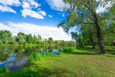 Similar image 11487307