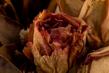 Similar image 11502821