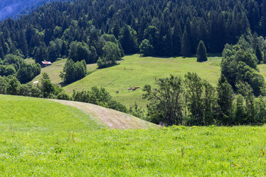 Similar image 11502841