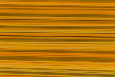 Similar image 11502882